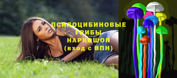МДПВ Белокуриха