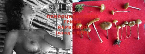 марки nbome Беломорск